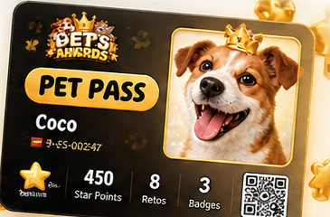 Pets Awards App