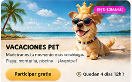 Premio Pets Awards